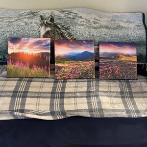 Set of Three Landscape Canvas Prints
